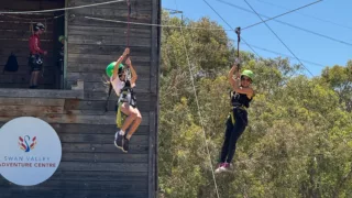 Flying fox