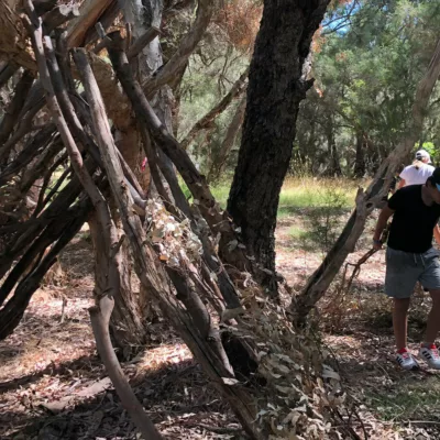Swan Valley Adventure Centre Bush Craft