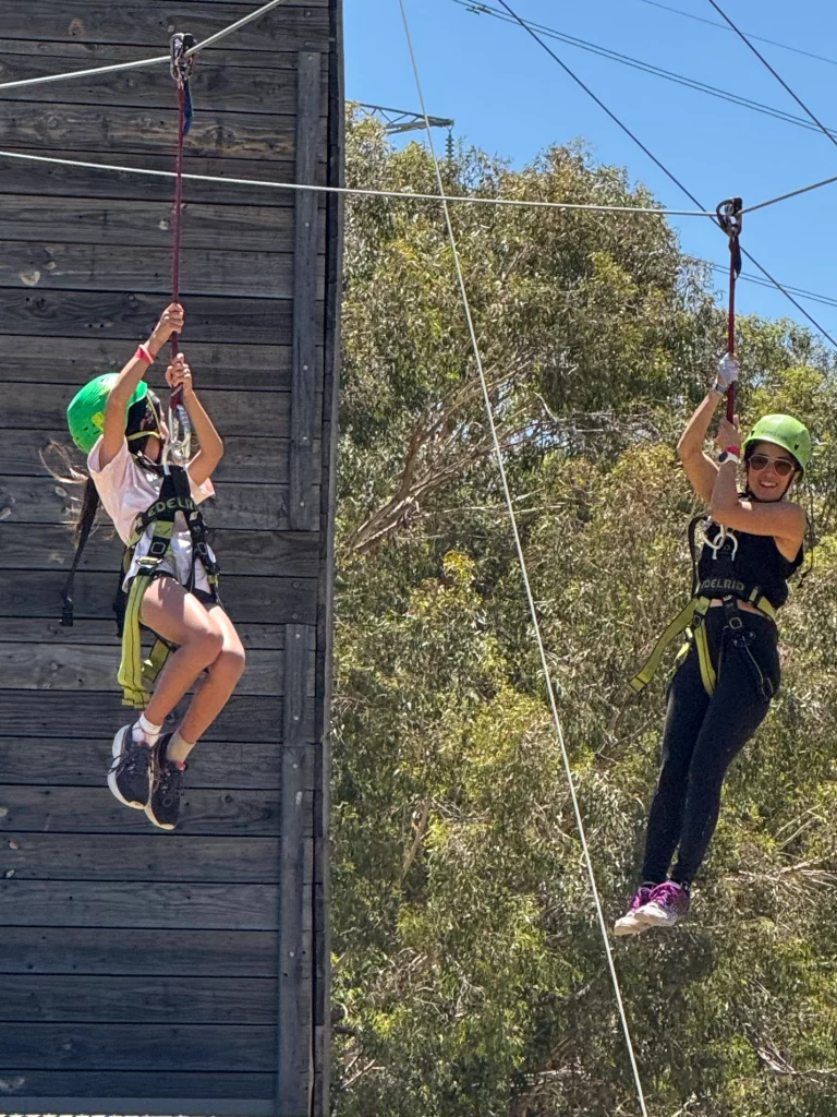 Flying fox